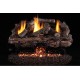 Real Fyre Charred Aged Split ANSI Gas Log Set