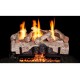 Real Fyre Charred Alpine Birch ANSI Gas Log Set