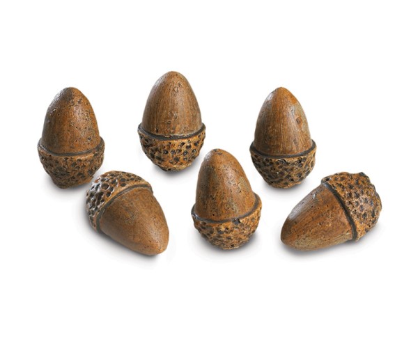 Real Fyre 6 Acorns