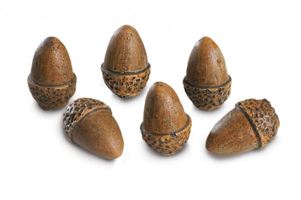 Real Fyre 6 Acorns