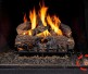 Real Fyre Bluetooth Control