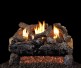 Real Fyre Evening Fyre Charred Gas Log Set