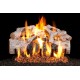 Real Fyre Charred Mountain Birch ANSI Gas Log Set