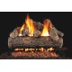 Real Fyre Golden Oak Designer Plus ANSI Gas Log Set