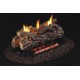 Real Fyre Golden Oak Designer See-Thru Gas Log Set