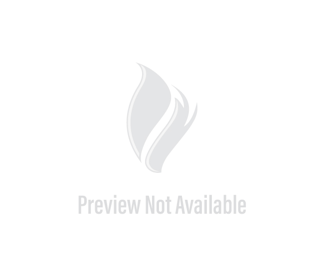 Real Fyre Thermostat Control ( 12 Product Only)