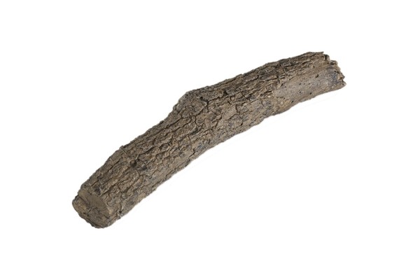 Real Fyre 21-inch Decorative Oak Branches