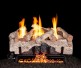 Real Fyre Outdoor Charred Alpine Birch Gas Log Set