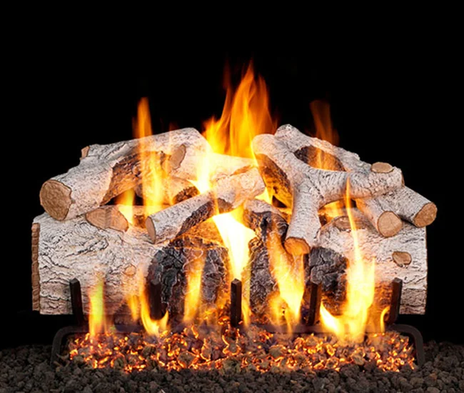 Real Fyre CHMBW-FE Charred Mountain Birch Flame Enhanced Gas Logs