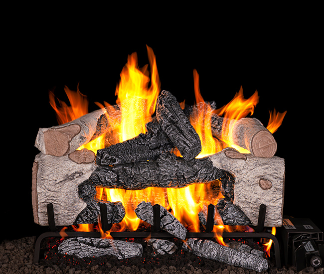 Real Fyre Charred Cinder Birch Gas Log Set