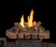 Real Fyre Split Valley Oak Gas Log Set