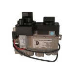 Standing Pilot with Variable Flame and Remote 