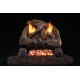 Real Fyre Evening Fyre Gas Log Set