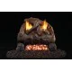 Real Fyre Evening Fyre Gas Log Set Real Fyre Evening Fyre Gas Log Set